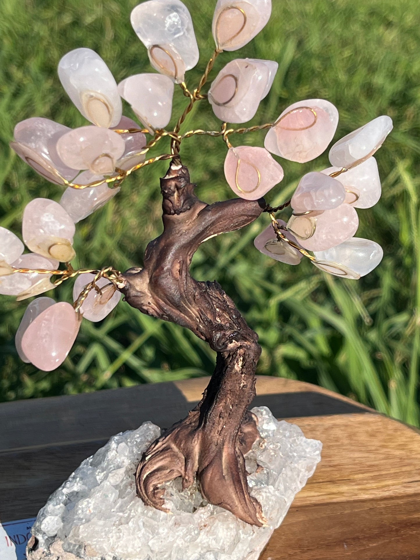 Bonsai Rose Quartz Trees on Amethyst base