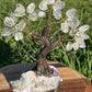 Bonsai Clear Quartz Trees on Amethyst Base