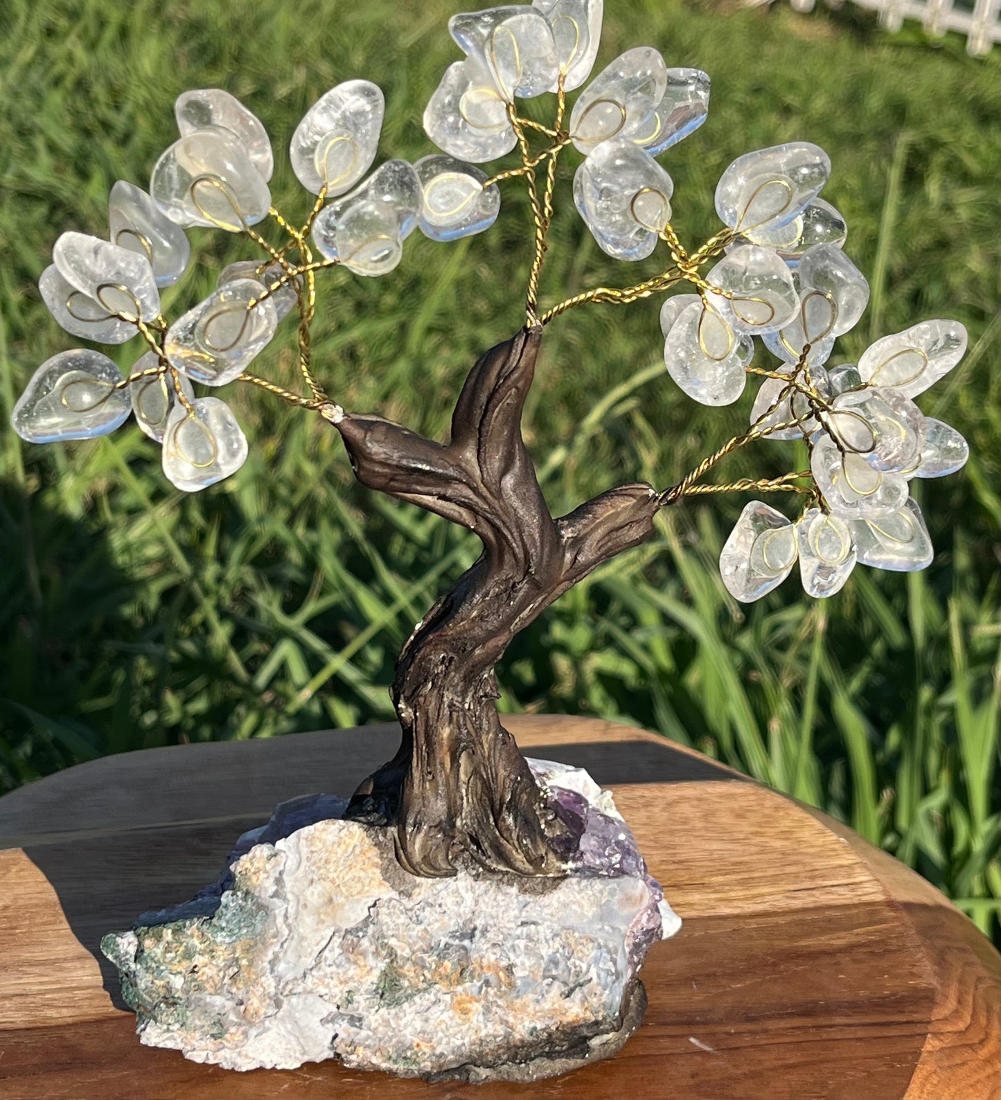 Bonsai Clear Quartz Trees on Amethyst Base