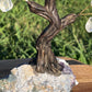 Bonsai Clear Quartz Trees on Amethyst Base