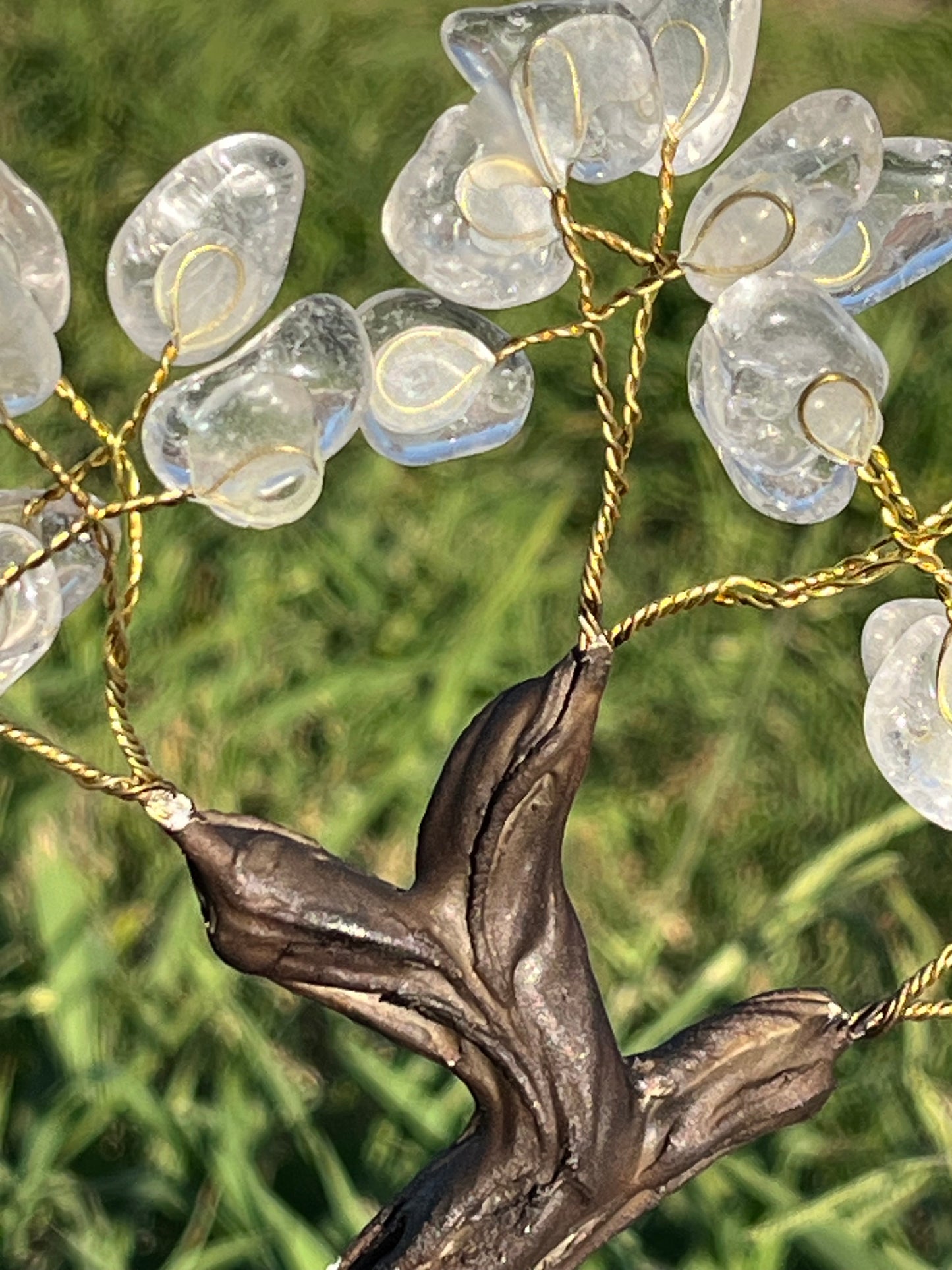 Bonsai Clear Quartz Trees on Amethyst Base