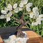 Bonsai Clear Quartz Trees on Amethyst Base