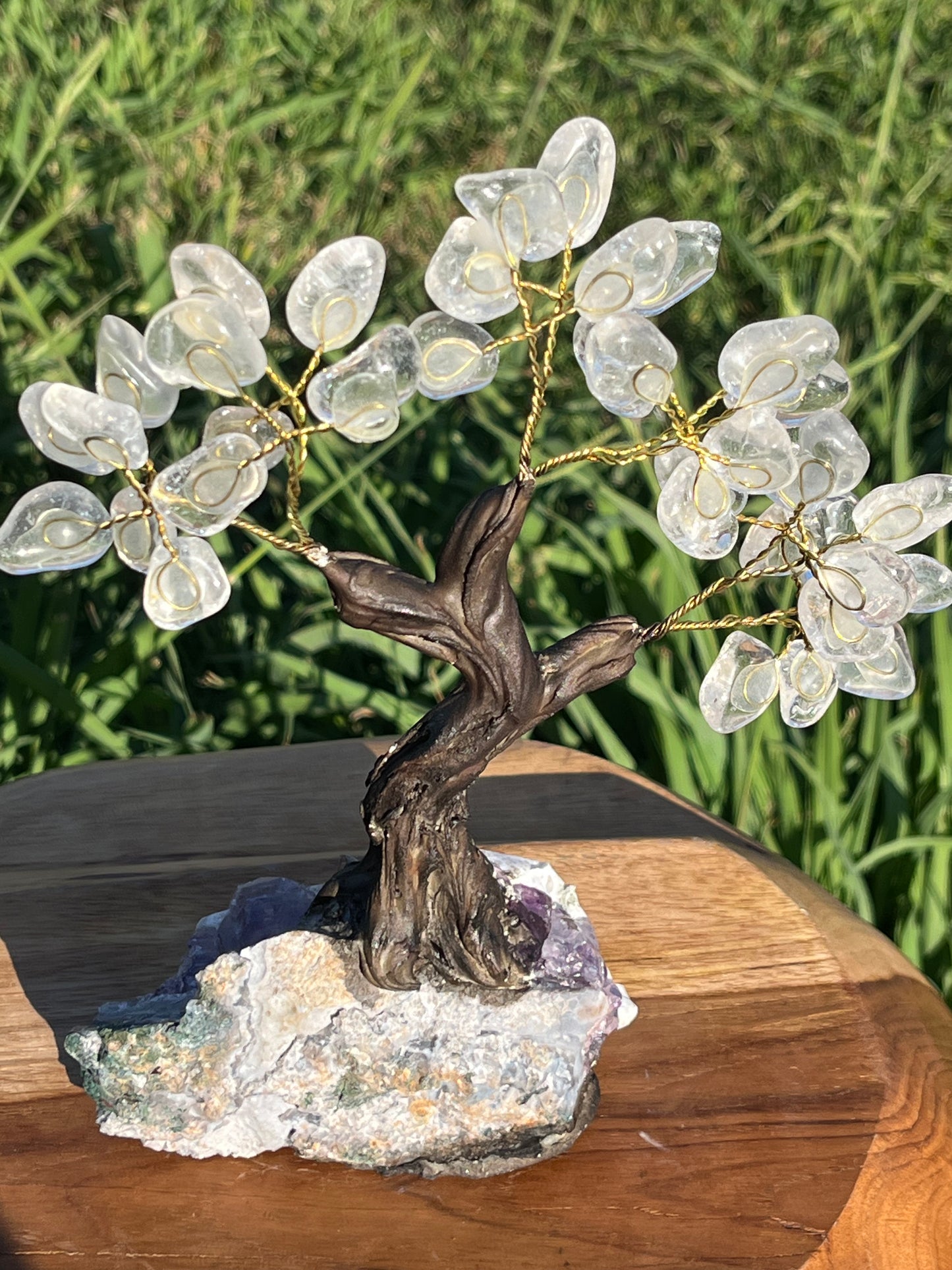 Bonsai Clear Quartz Trees on Amethyst Base