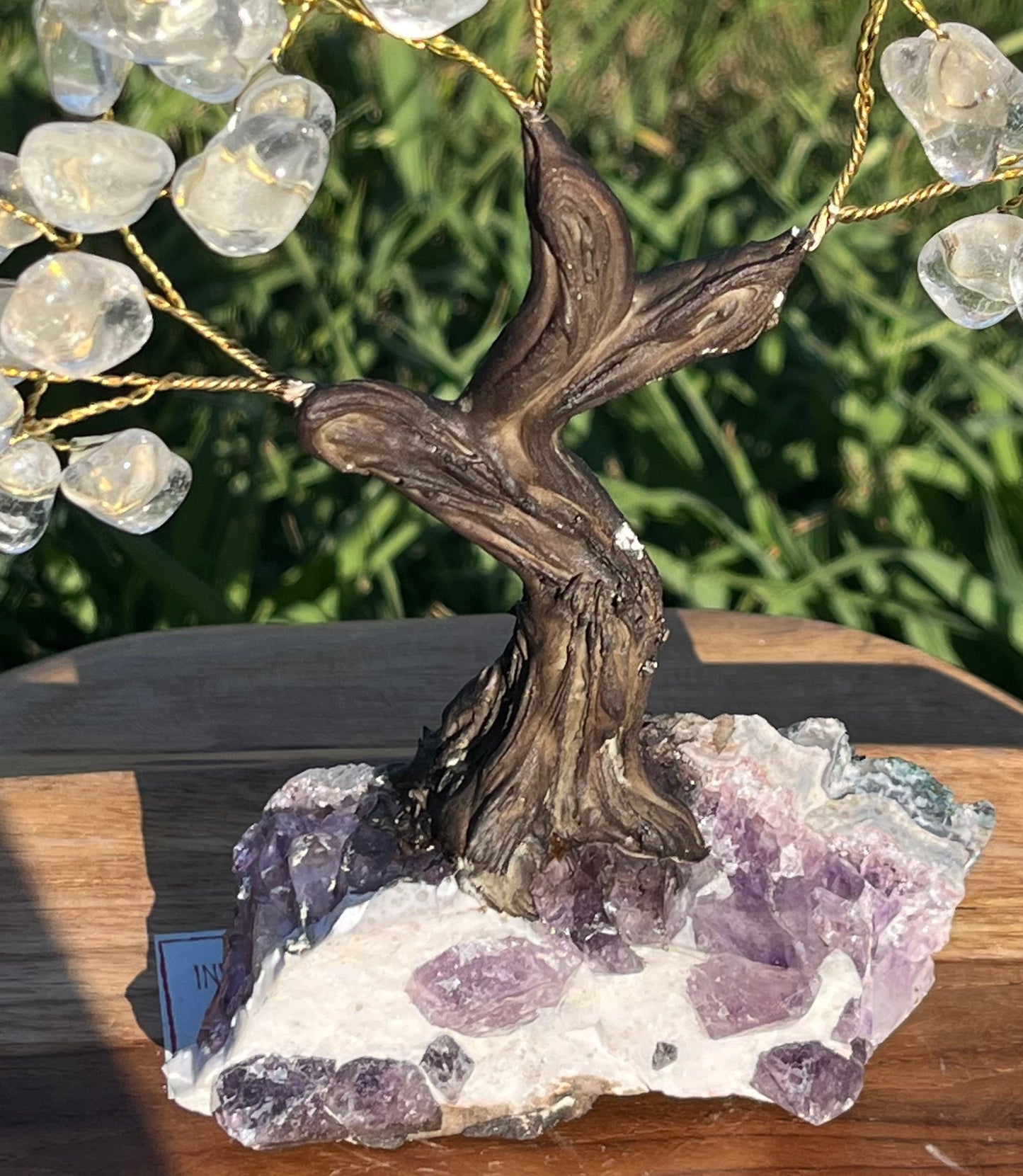 Bonsai Clear Quartz Trees on Amethyst Base