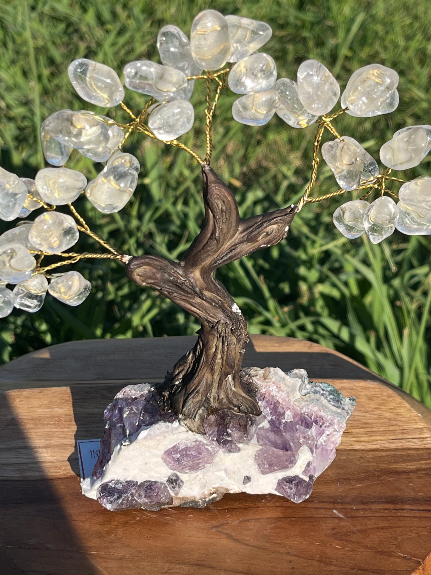 Bonsai Clear Quartz Trees on Amethyst Base