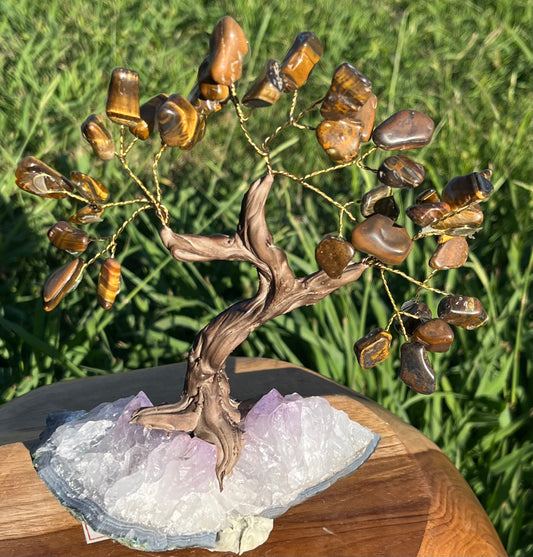 Bonsai Tigers Eye Trees on Amethyst base