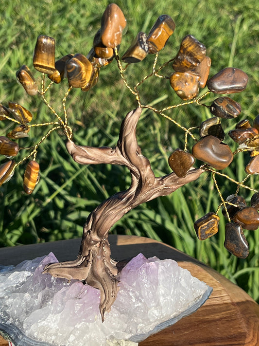 Bonsai Tigers Eye Trees on Amethyst base