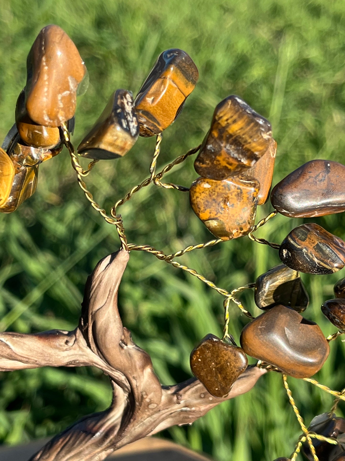 Bonsai Tigers Eye Trees on Amethyst base