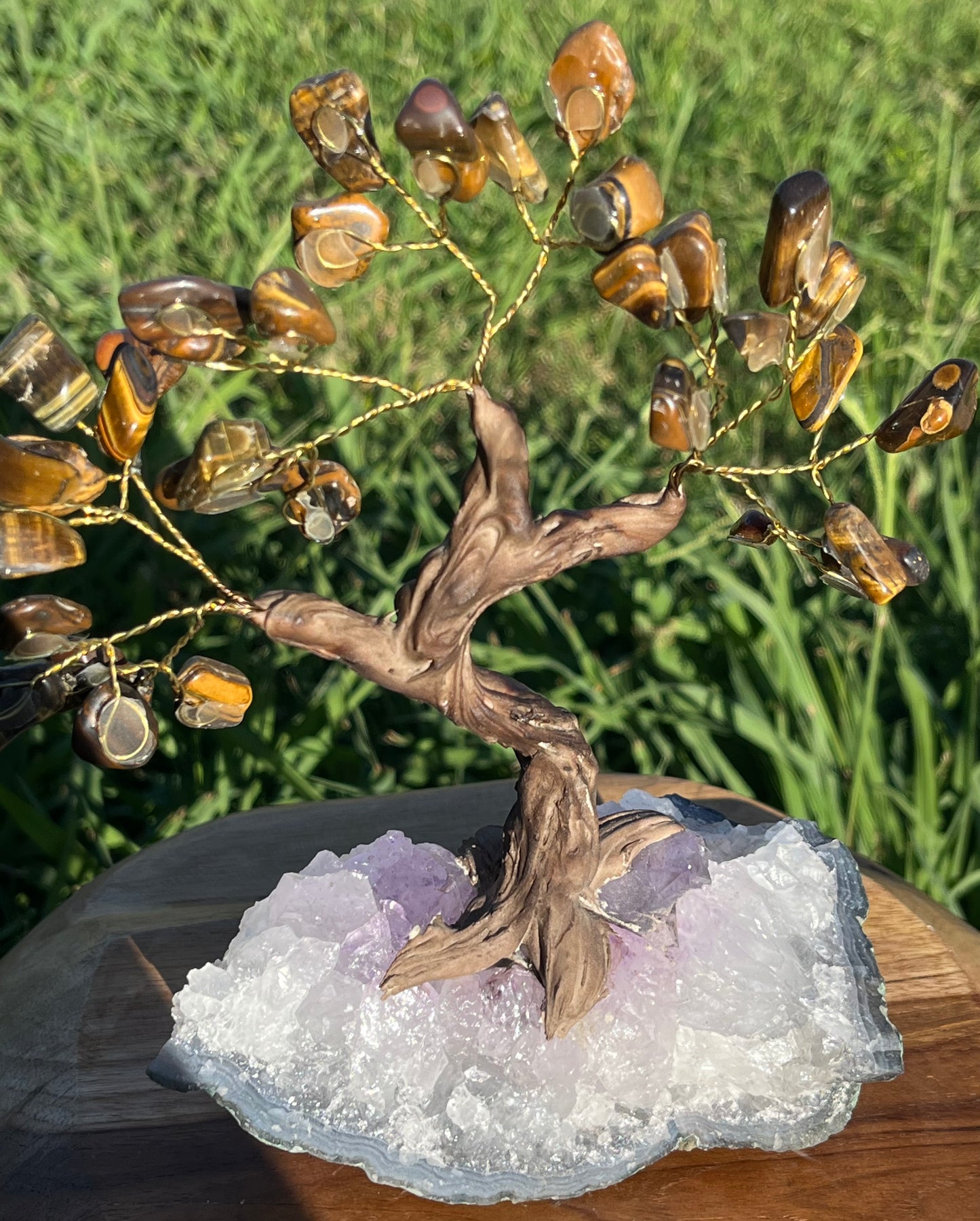 Bonsai Tigers Eye Trees on Amethyst base