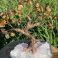 Bonsai Tigers Eye Trees on Amethyst base