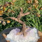 Bonsai Tigers Eye Trees on Amethyst base