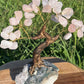 Bonsai Rose Quartz Trees on Amethyst base