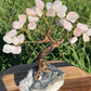 Bonsai Rose Quartz Trees on Amethyst base