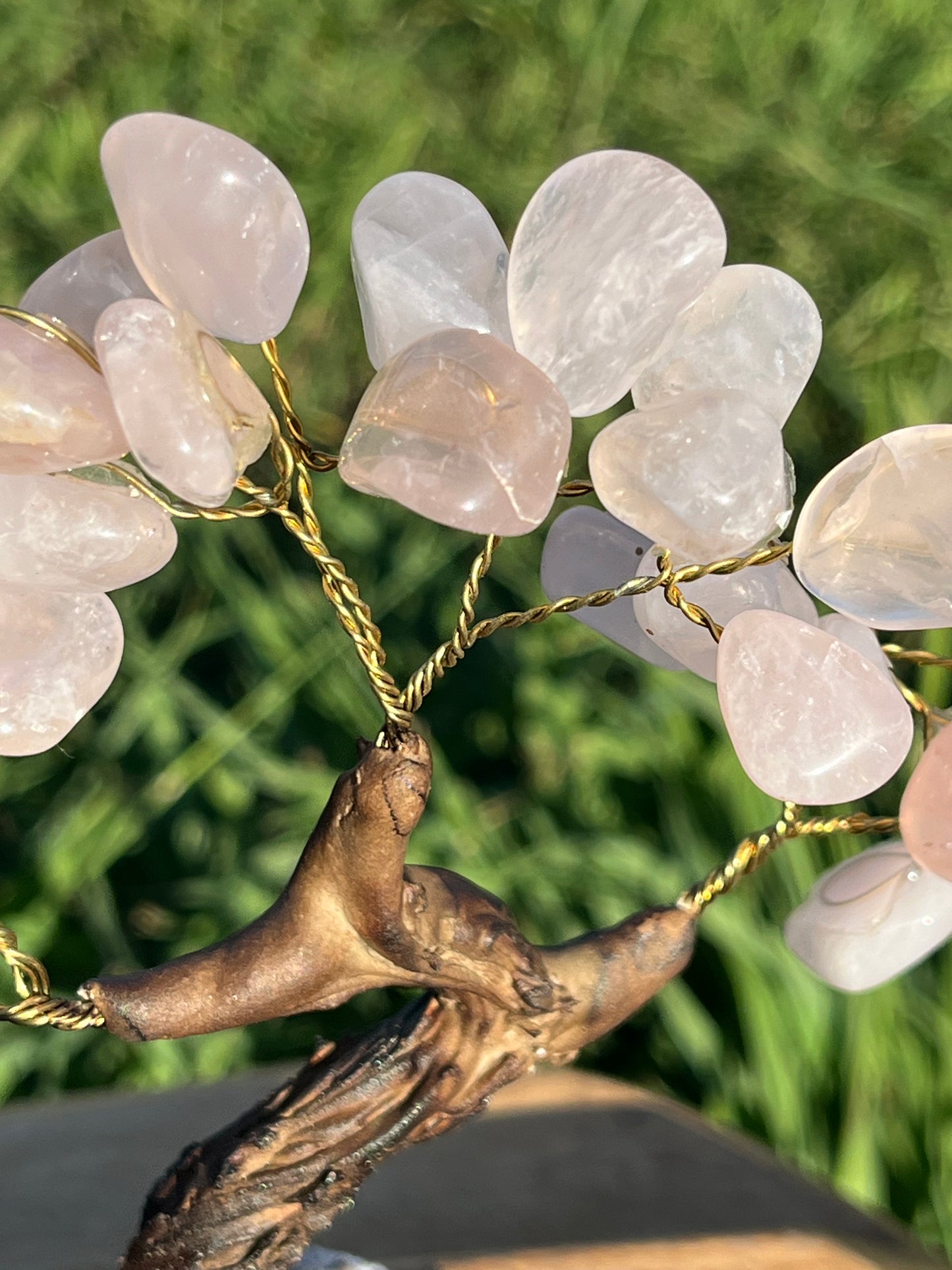 Bonsai Rose Quartz Trees on Amethyst base