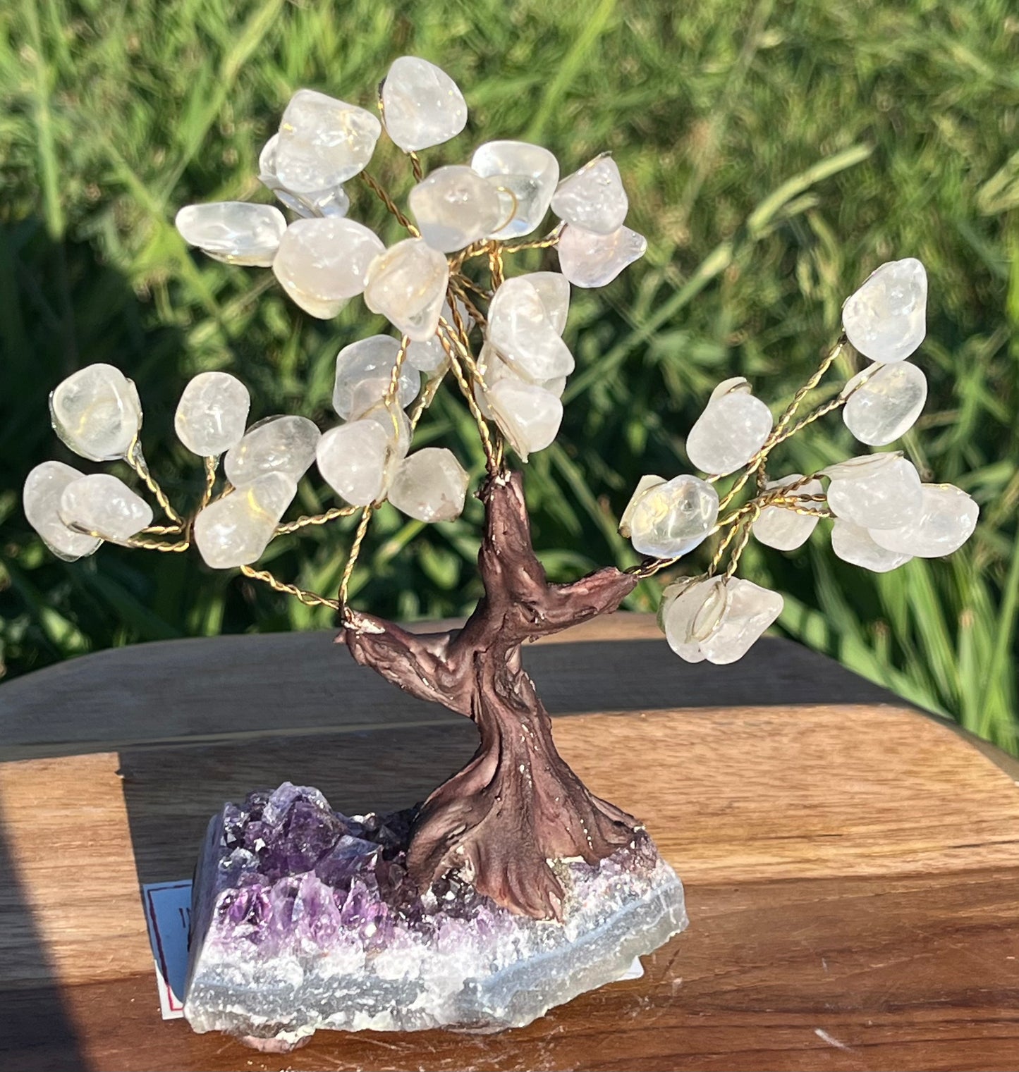 Bonsai Clear Quartz Trees on Amethyst Base