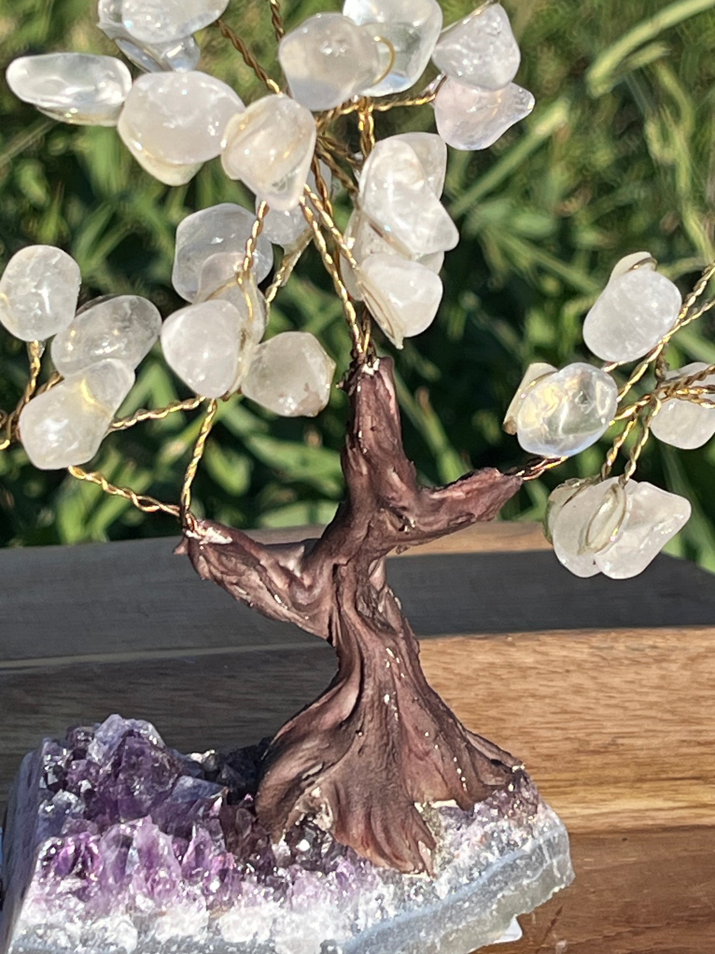 Bonsai Clear Quartz Trees on Amethyst Base