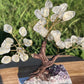 Bonsai Clear Quartz Trees on Amethyst Base