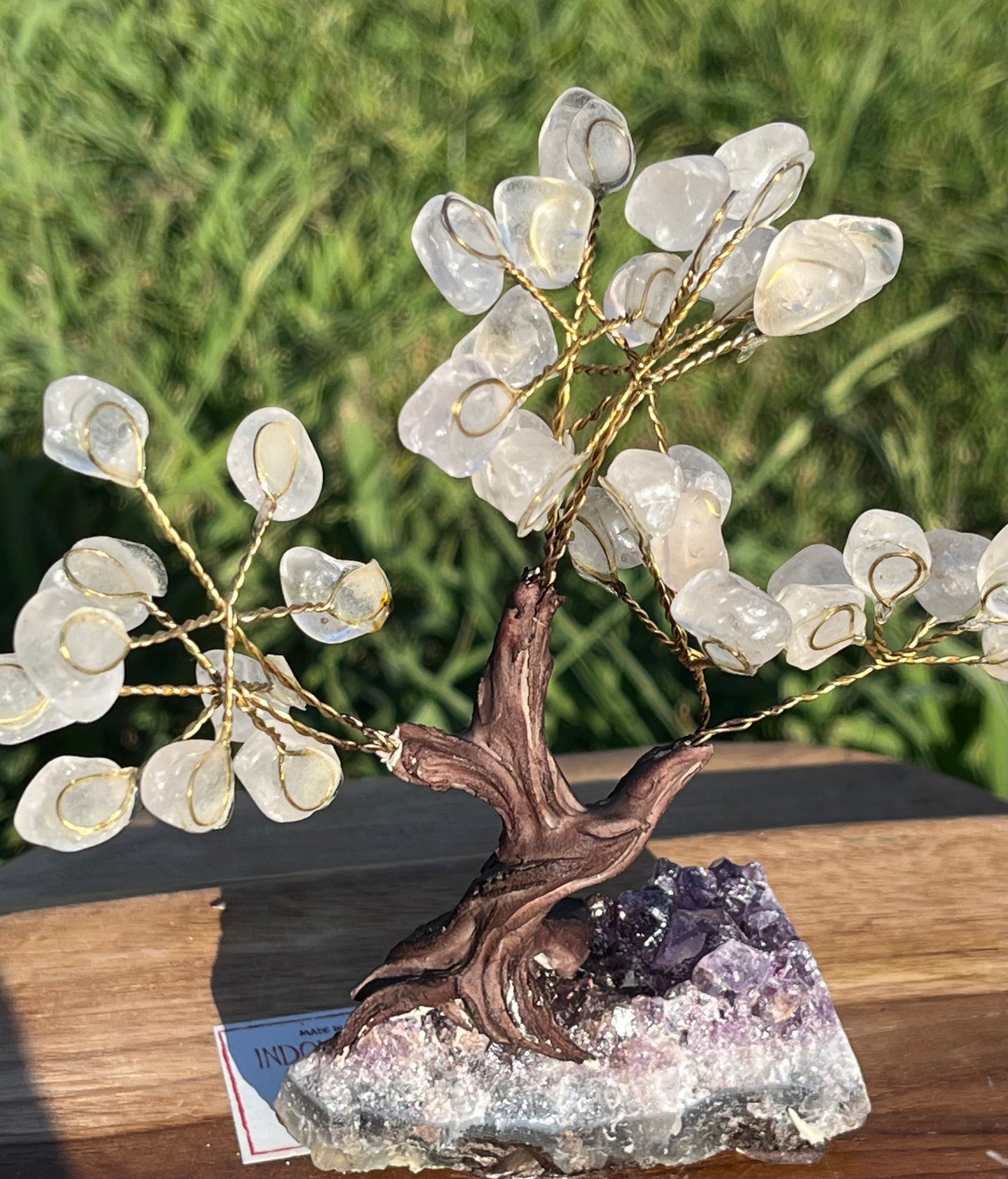 Bonsai Clear Quartz Trees on Amethyst Base