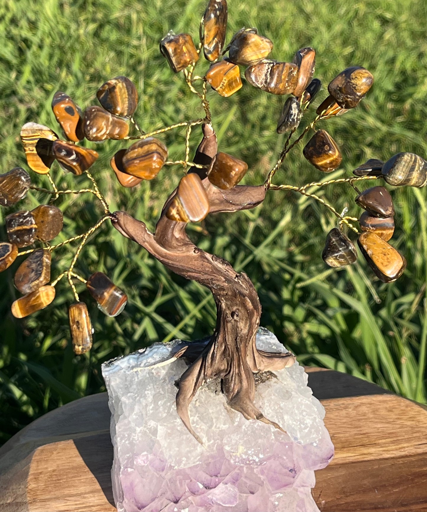 Bonsai Tigers Eye Trees on Amethyst base