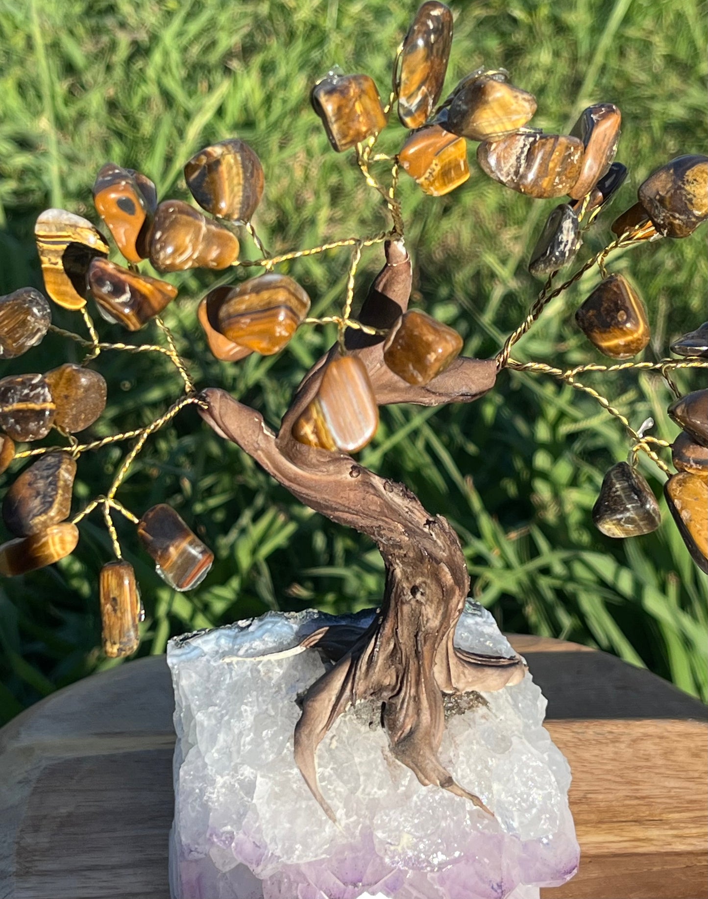 Bonsai Tigers Eye Trees on Amethyst base