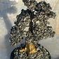 Bonsai Sparkling Mini Pyrite Trees