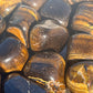 Tigers Eye Tumbles