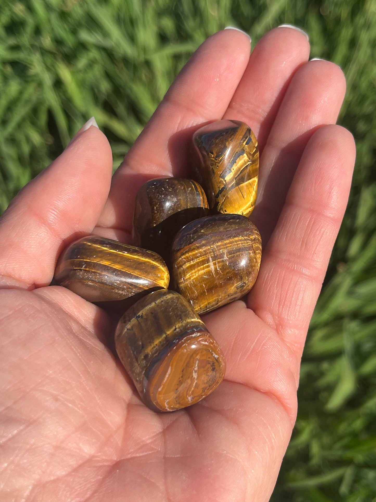 Tigers Eye Tumbles