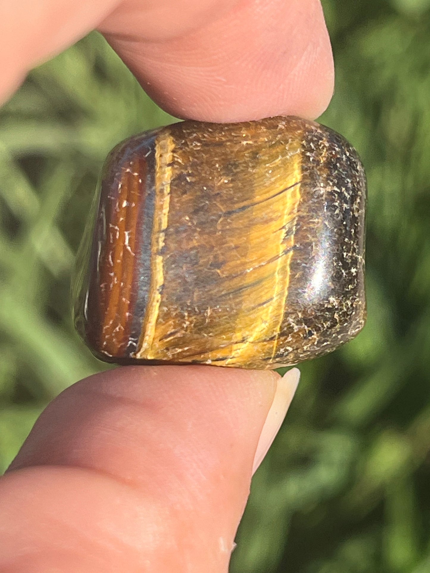 Tigers Eye Tumbles