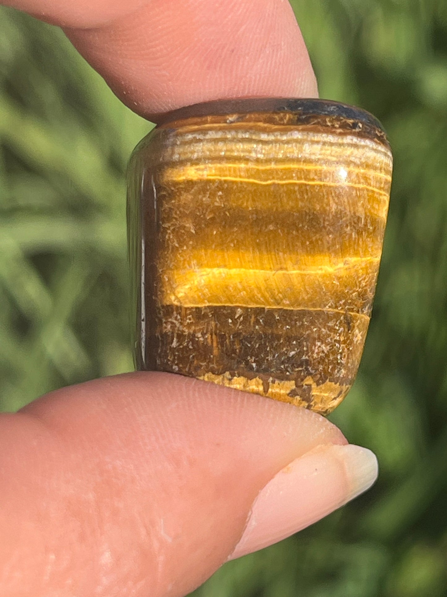 Tigers Eye Tumbles