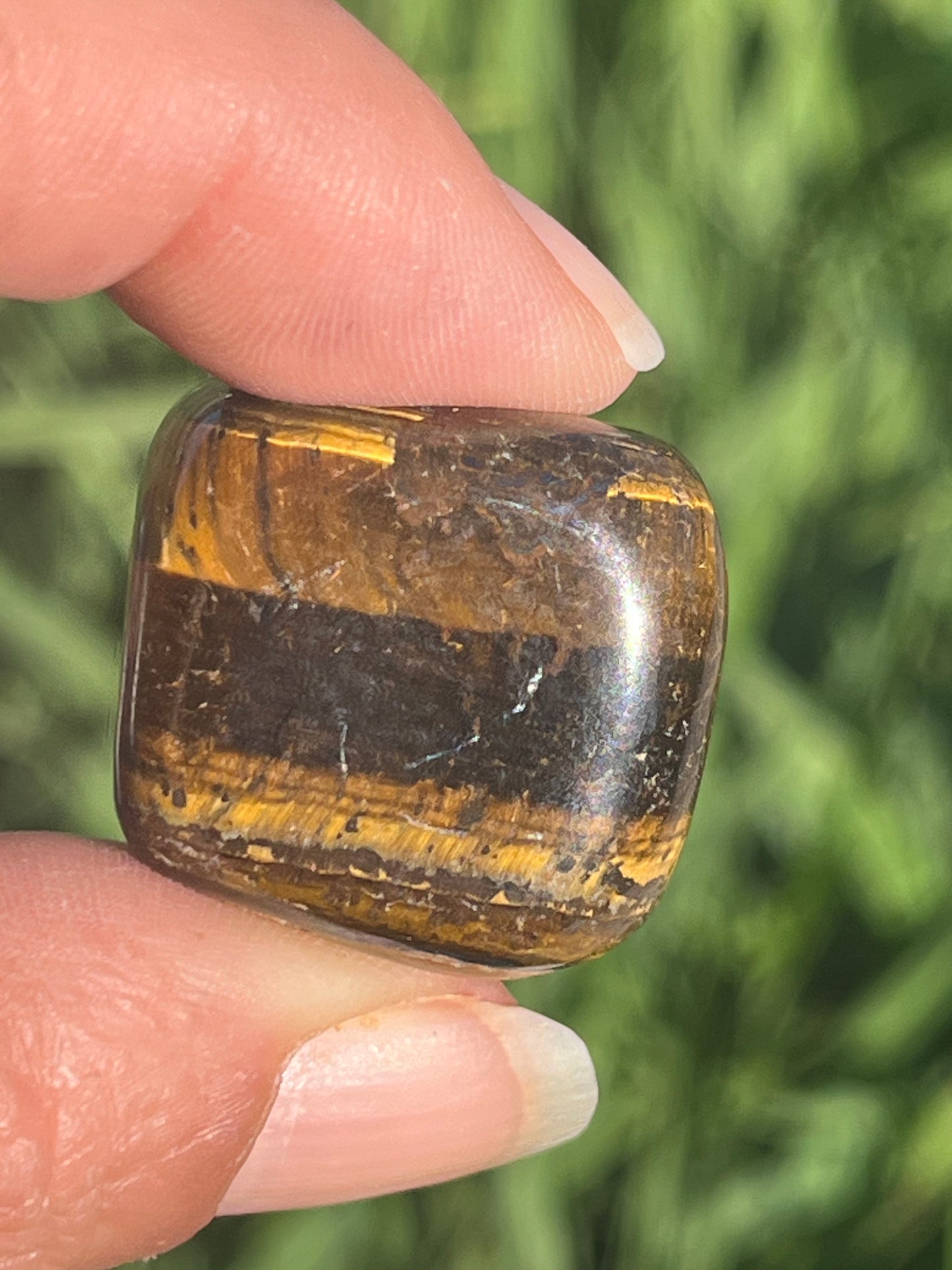 Tigers Eye Tumbles