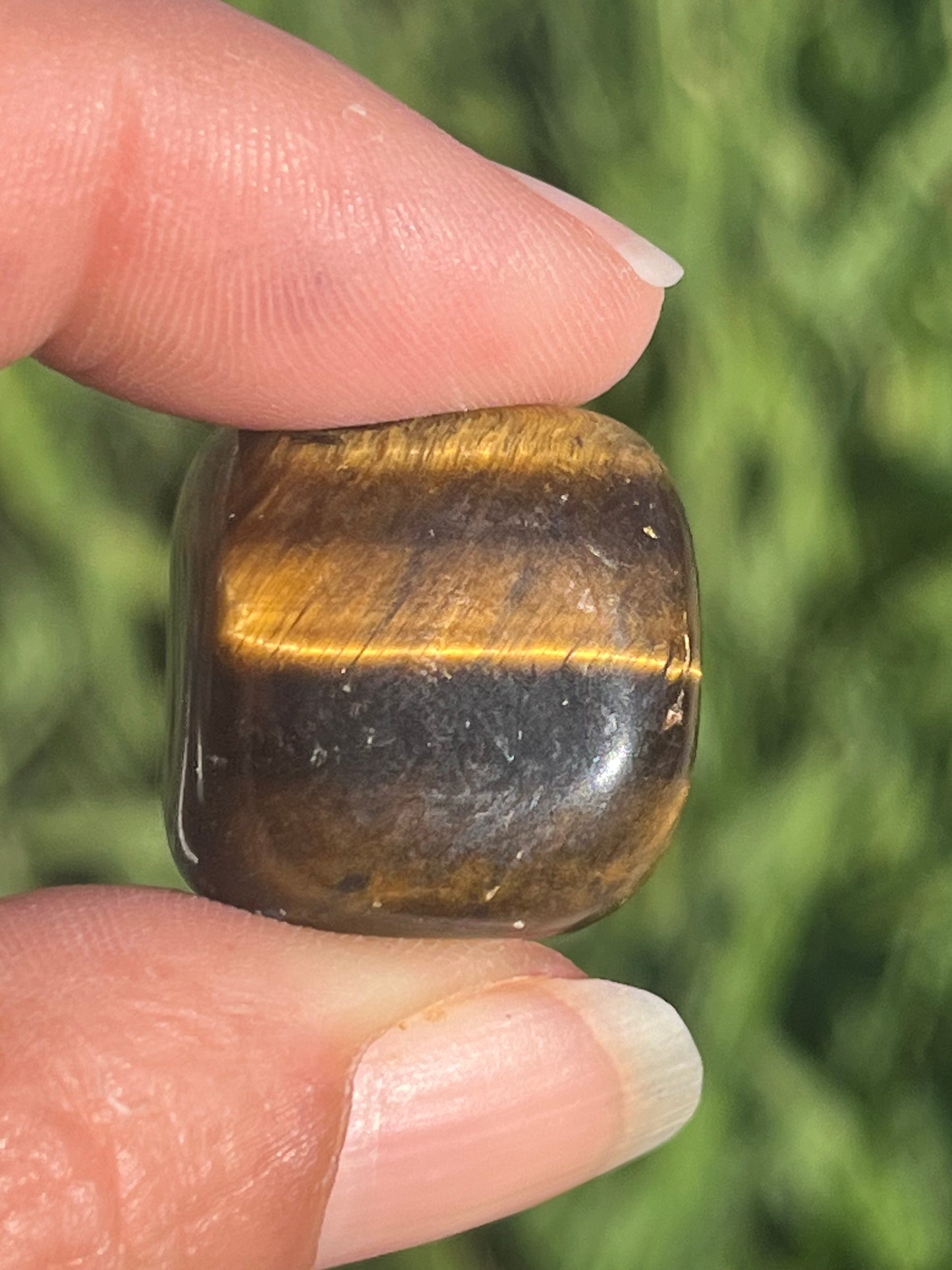 Tigers Eye Tumbles