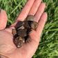 Bronzite Tumbled Chips