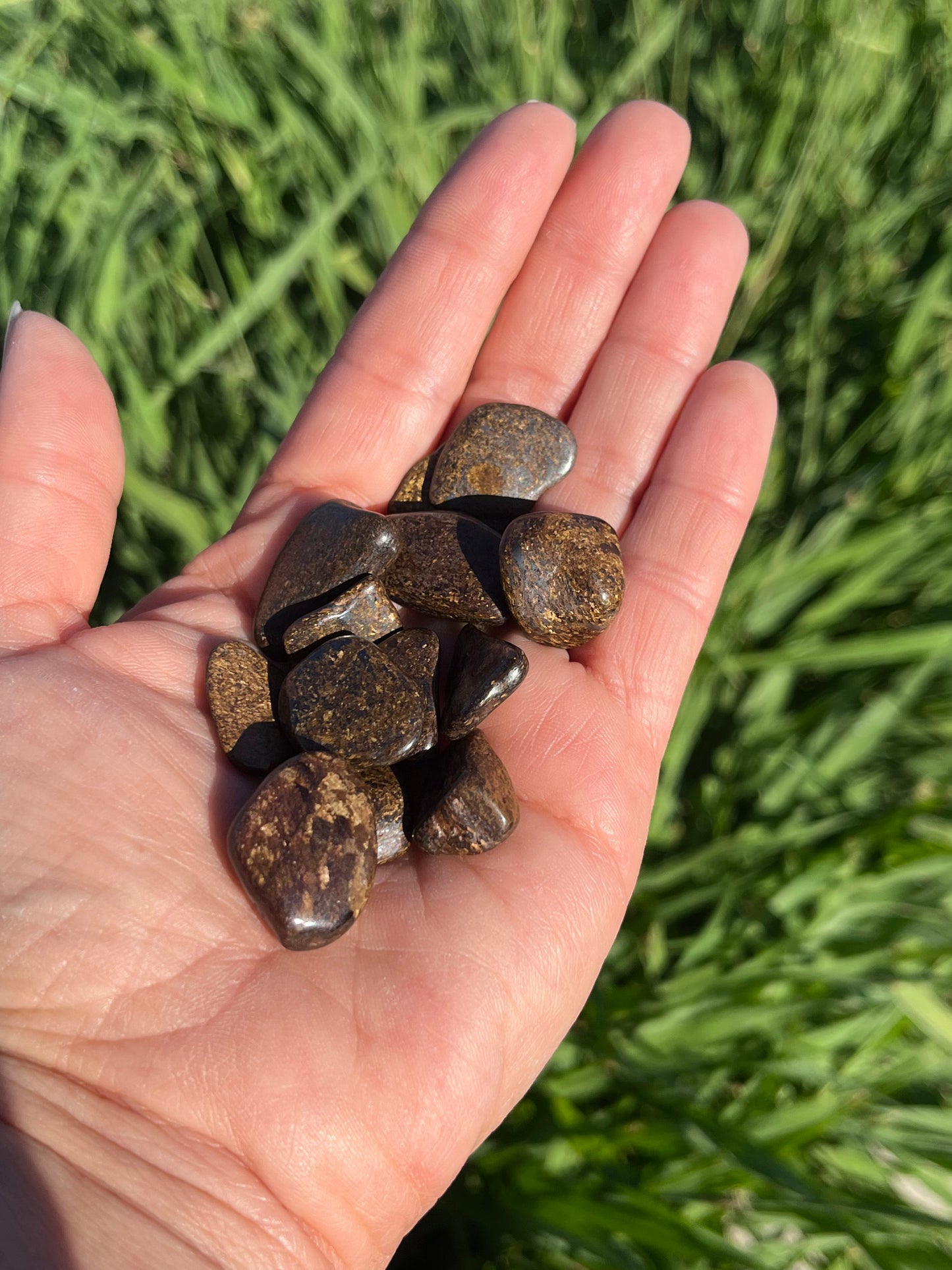 Bronzite Tumbled Chips