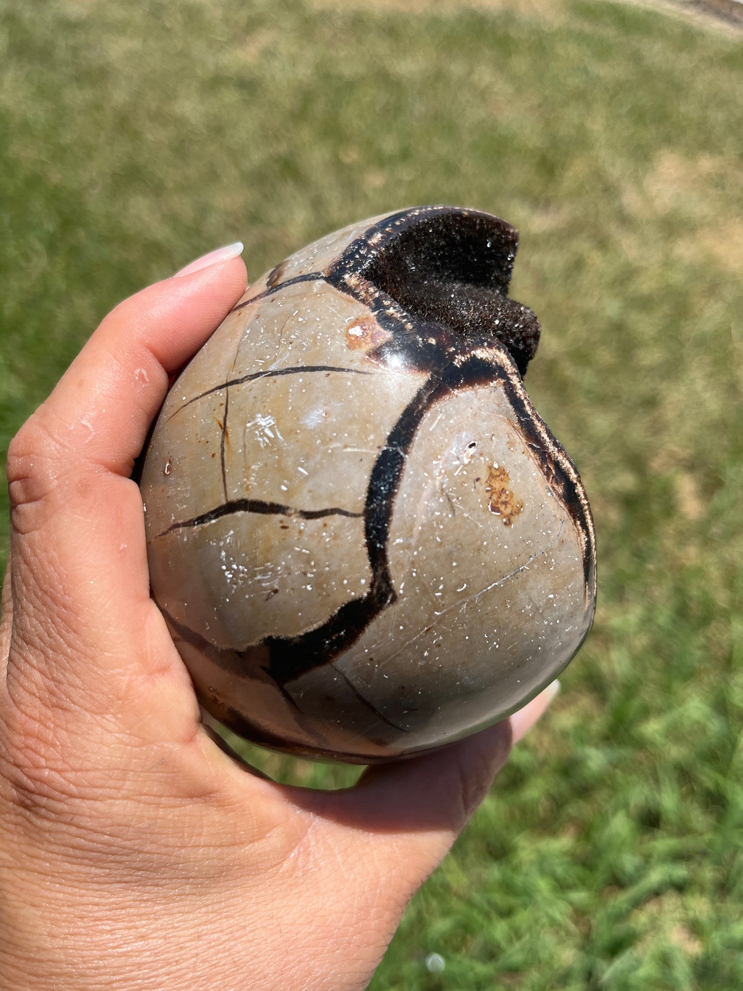 Septarian Dragon Eggs