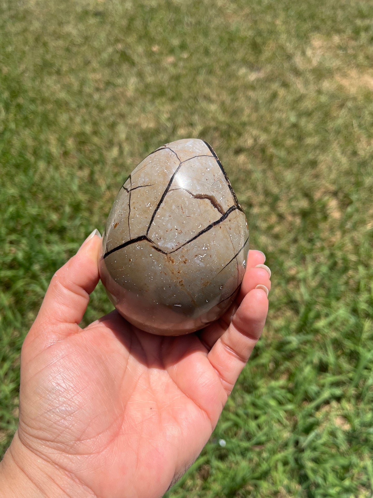 Septarian Dragon Eggs