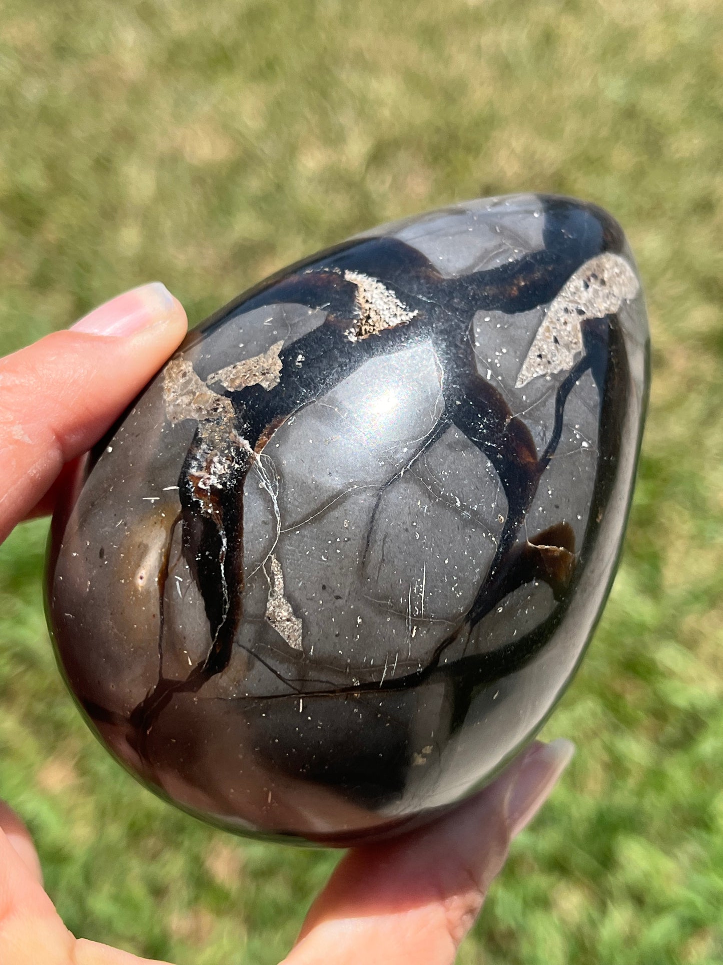 Septarian Dragon Eggs