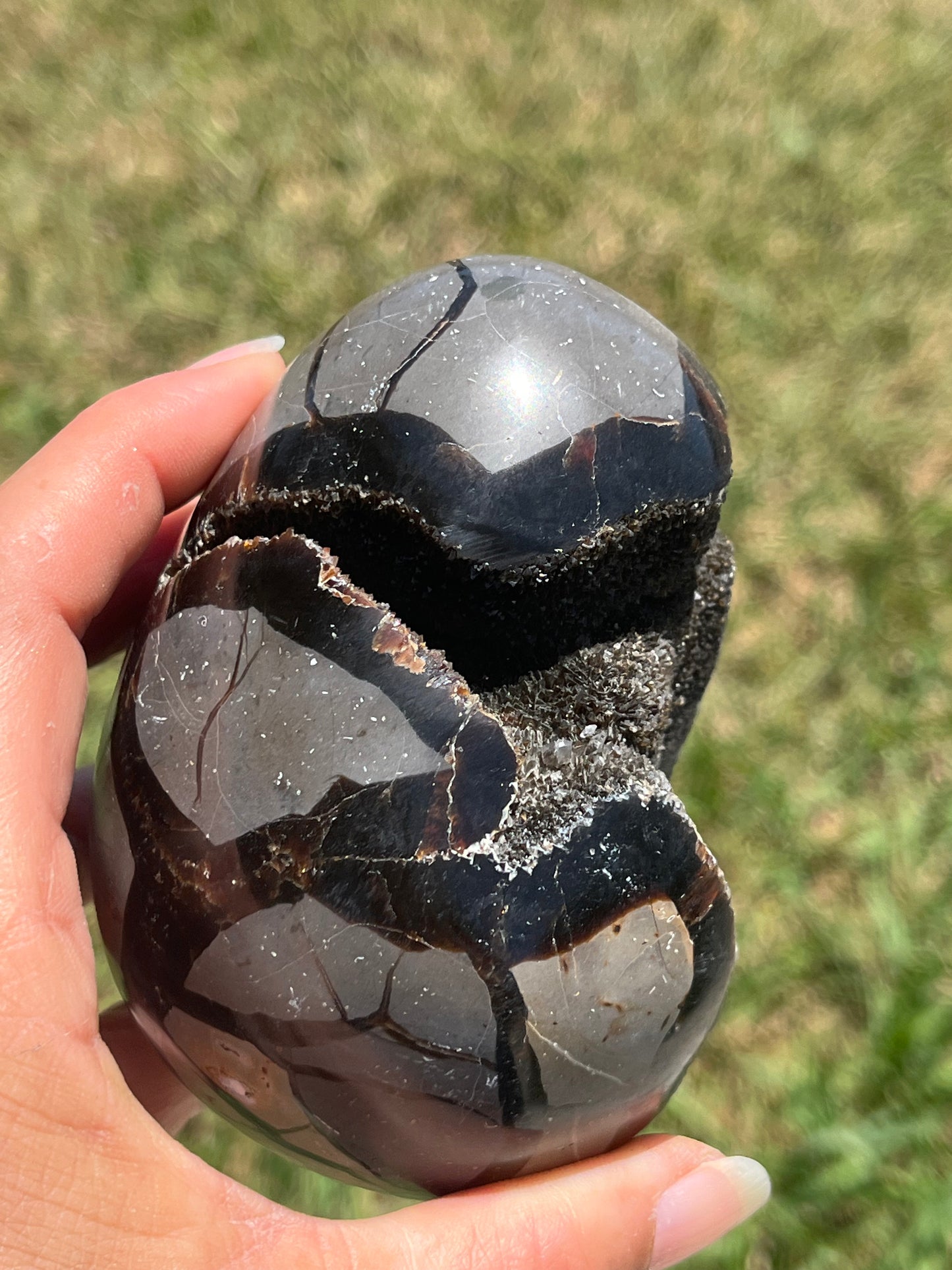 Septarian Dragon Eggs