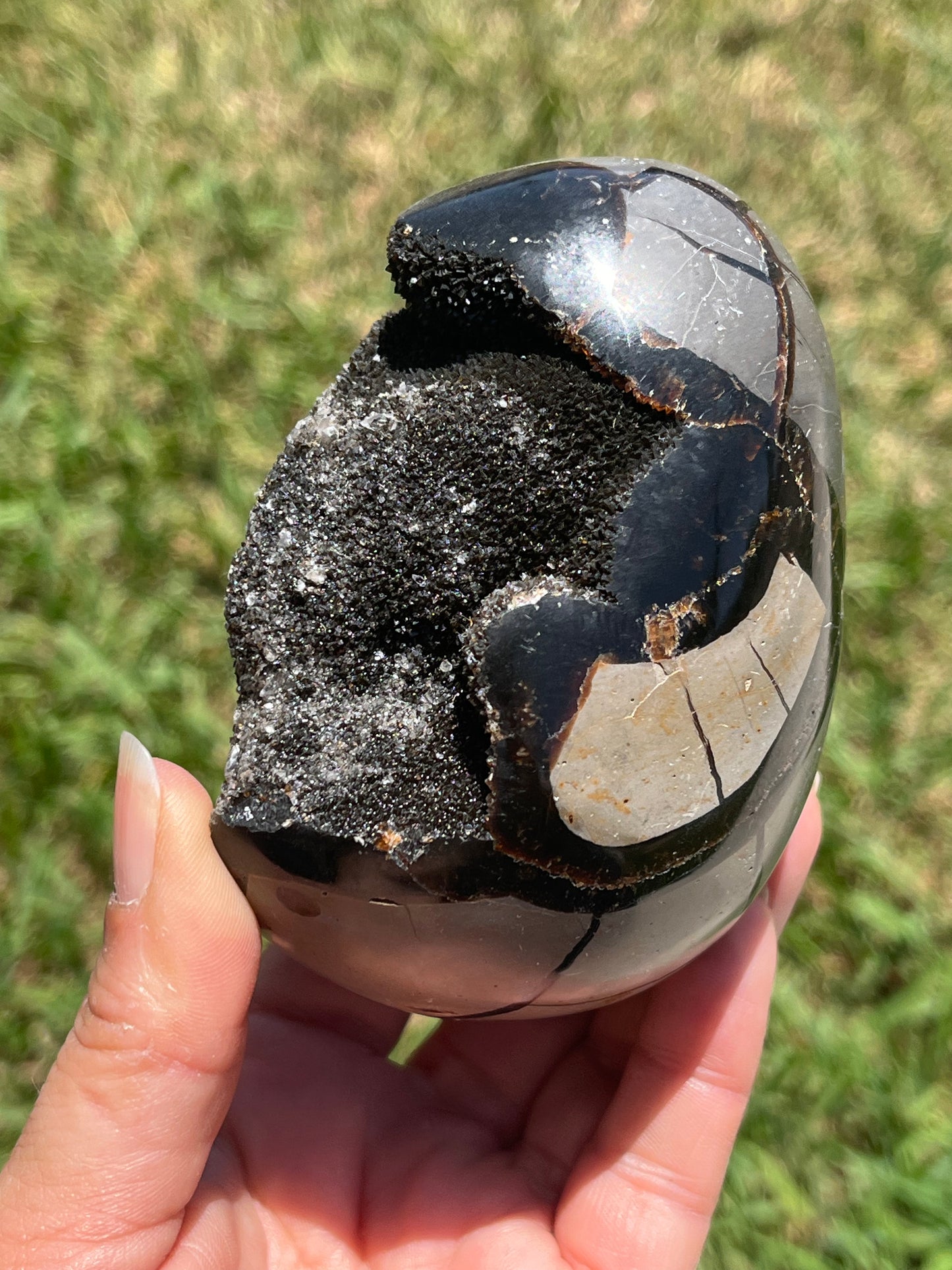 Septarian Dragon Eggs