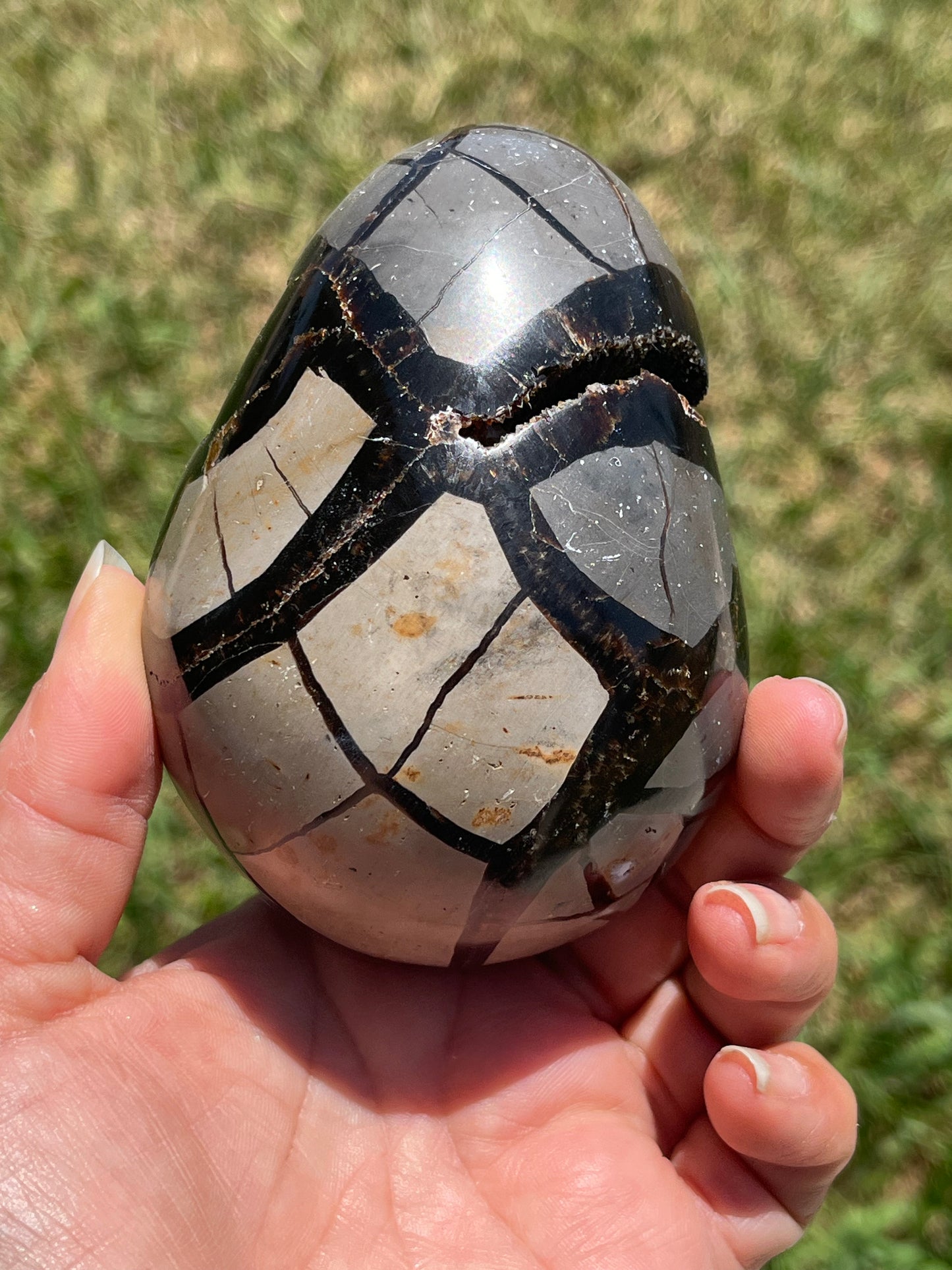 Septarian Dragon Eggs