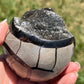 Septarian Dragon Eggs