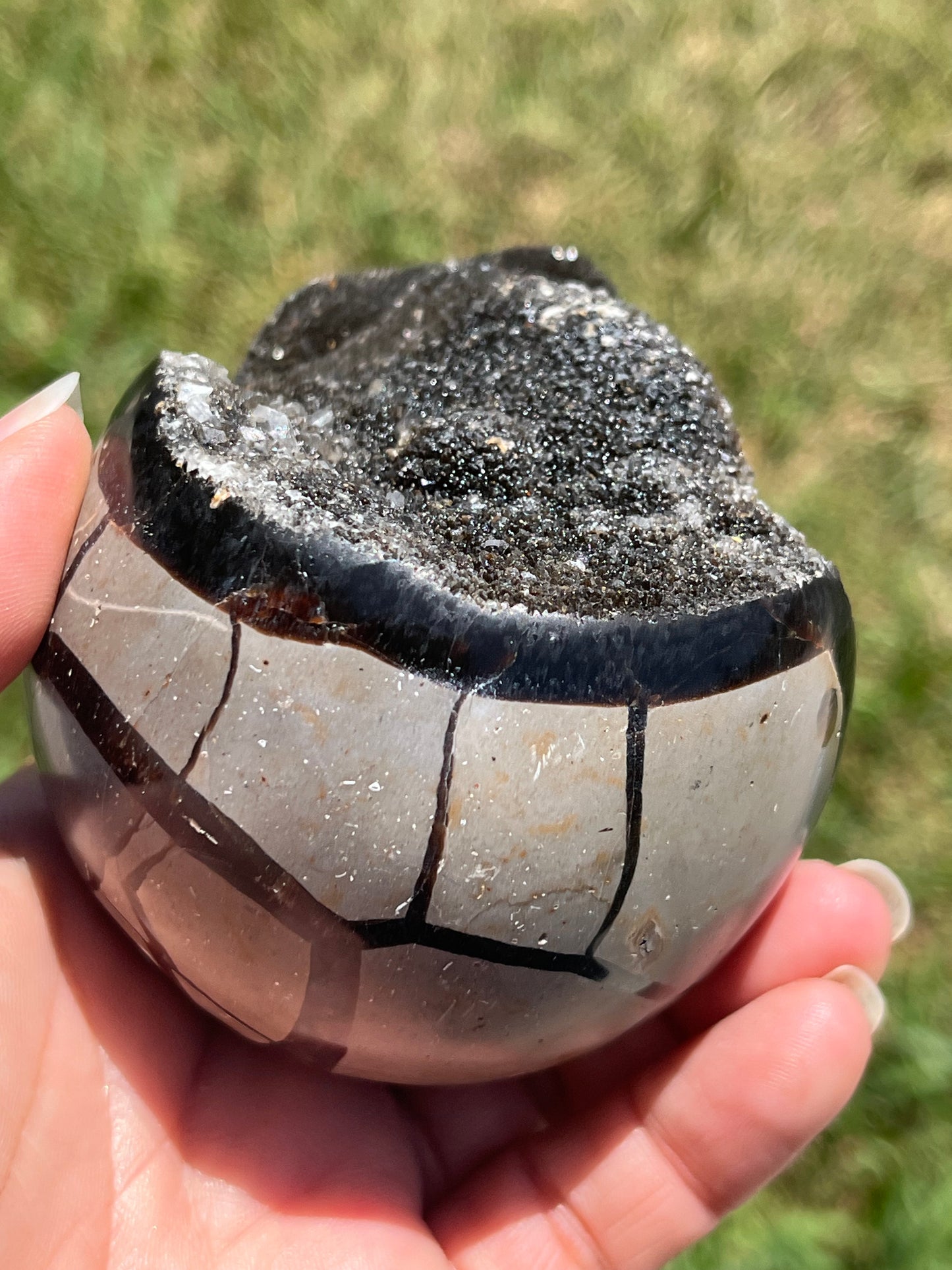 Septarian Dragon Eggs