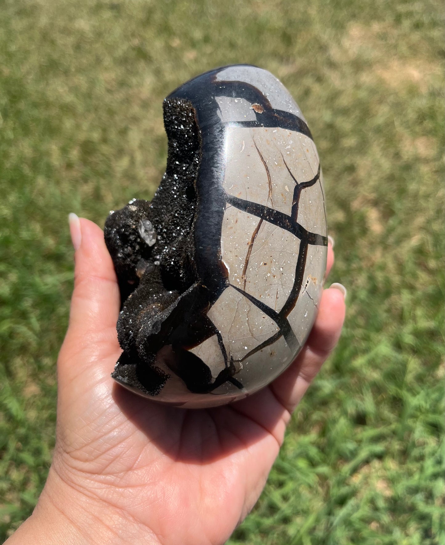 Septarian Dragon Eggs