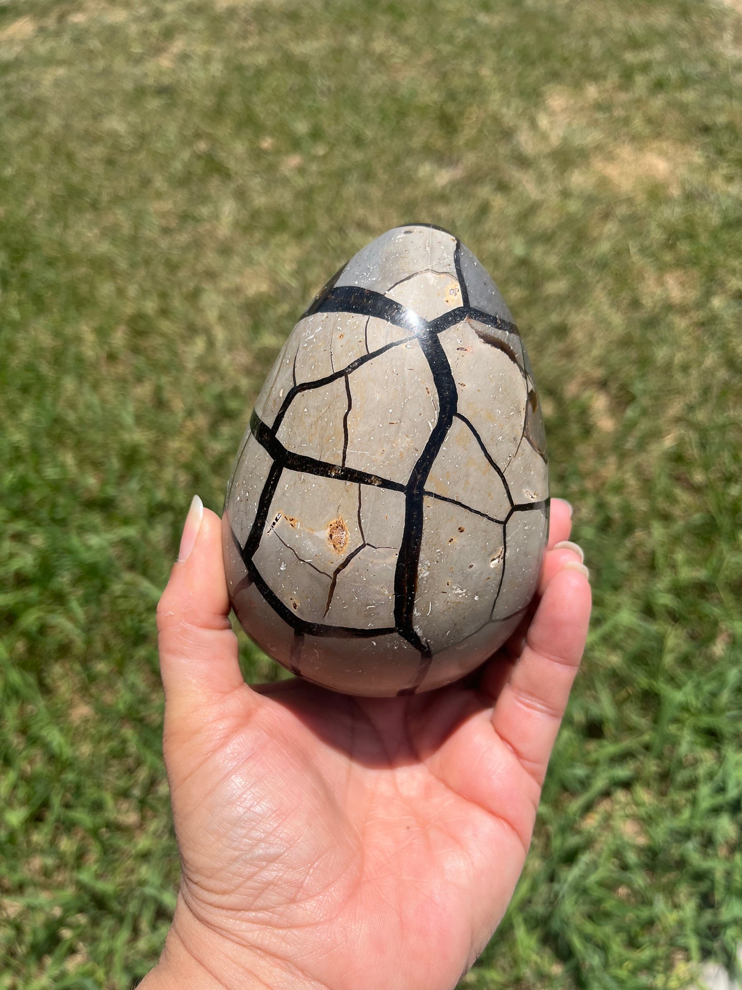 Septarian Dragon Eggs