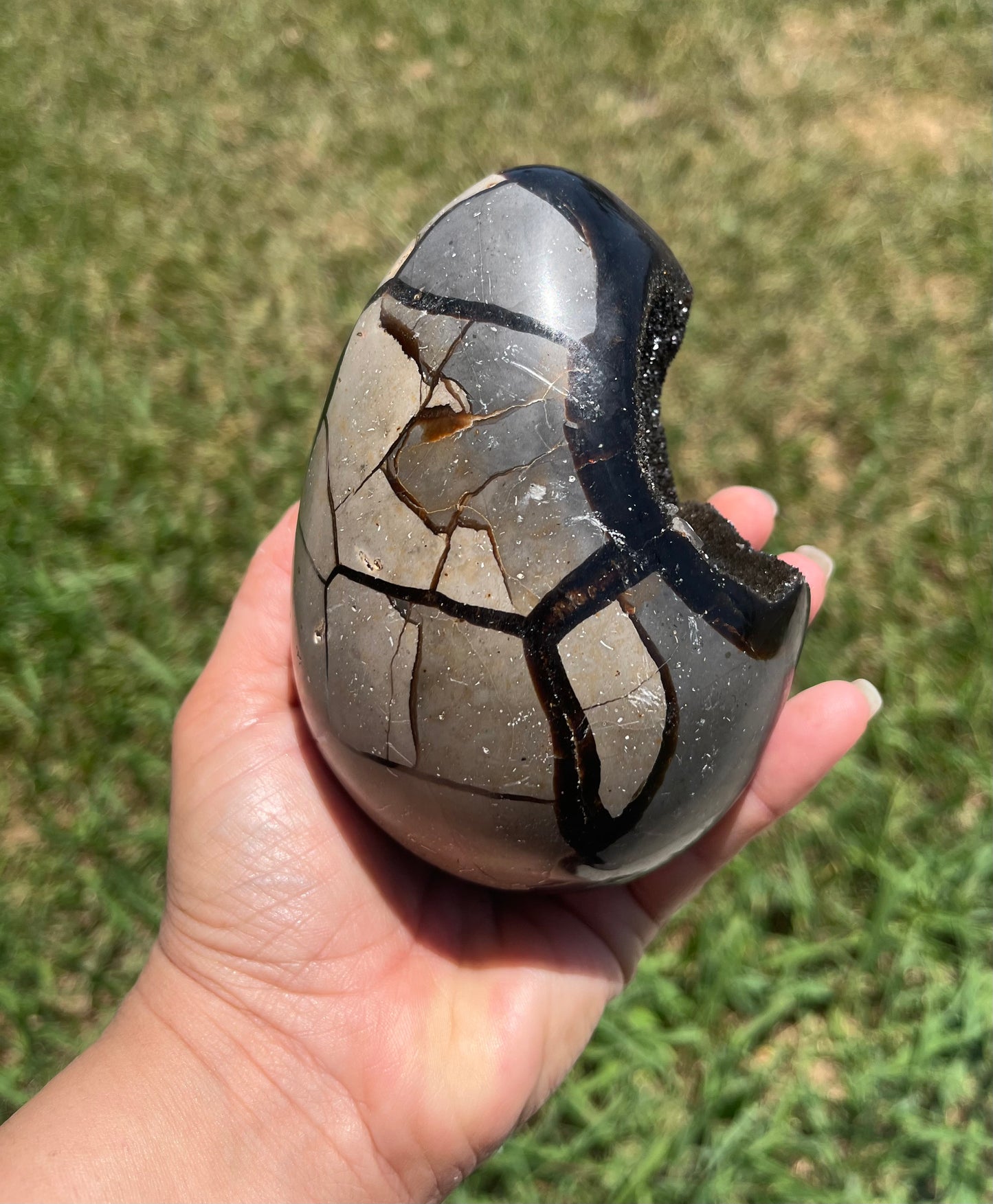 Septarian Dragon Eggs