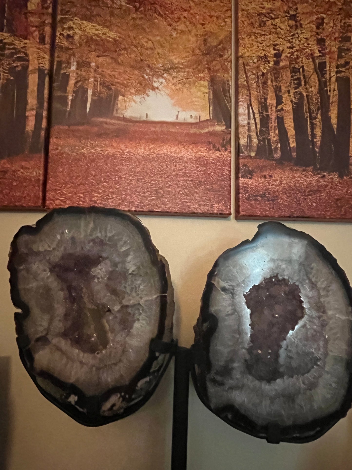 Stunning Druzy Red Agate and Purple Amethyst Wings