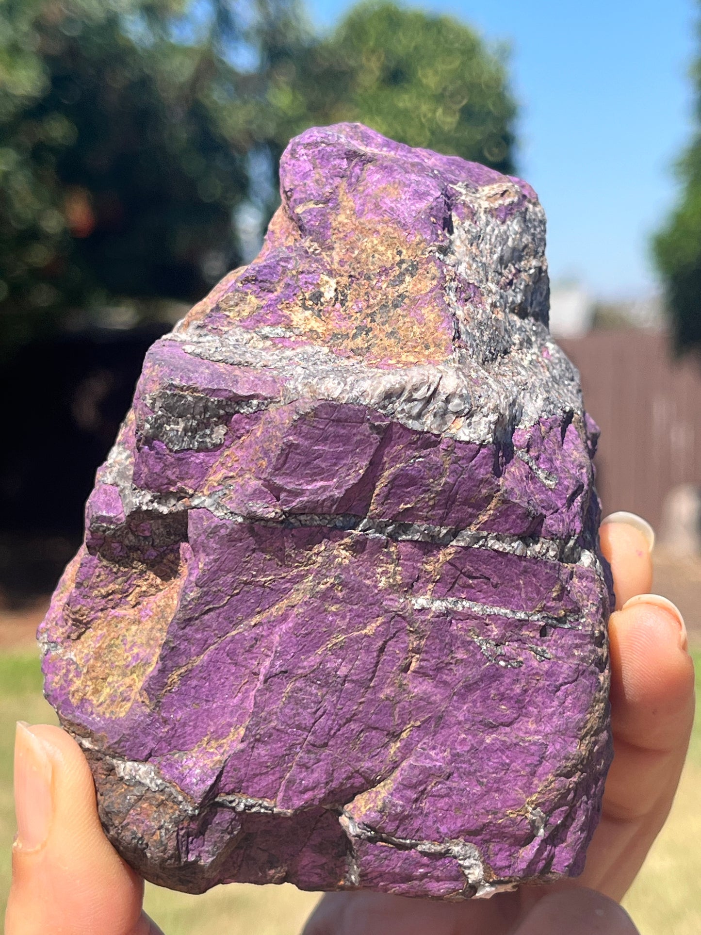 Purpurite High Grade Specimen