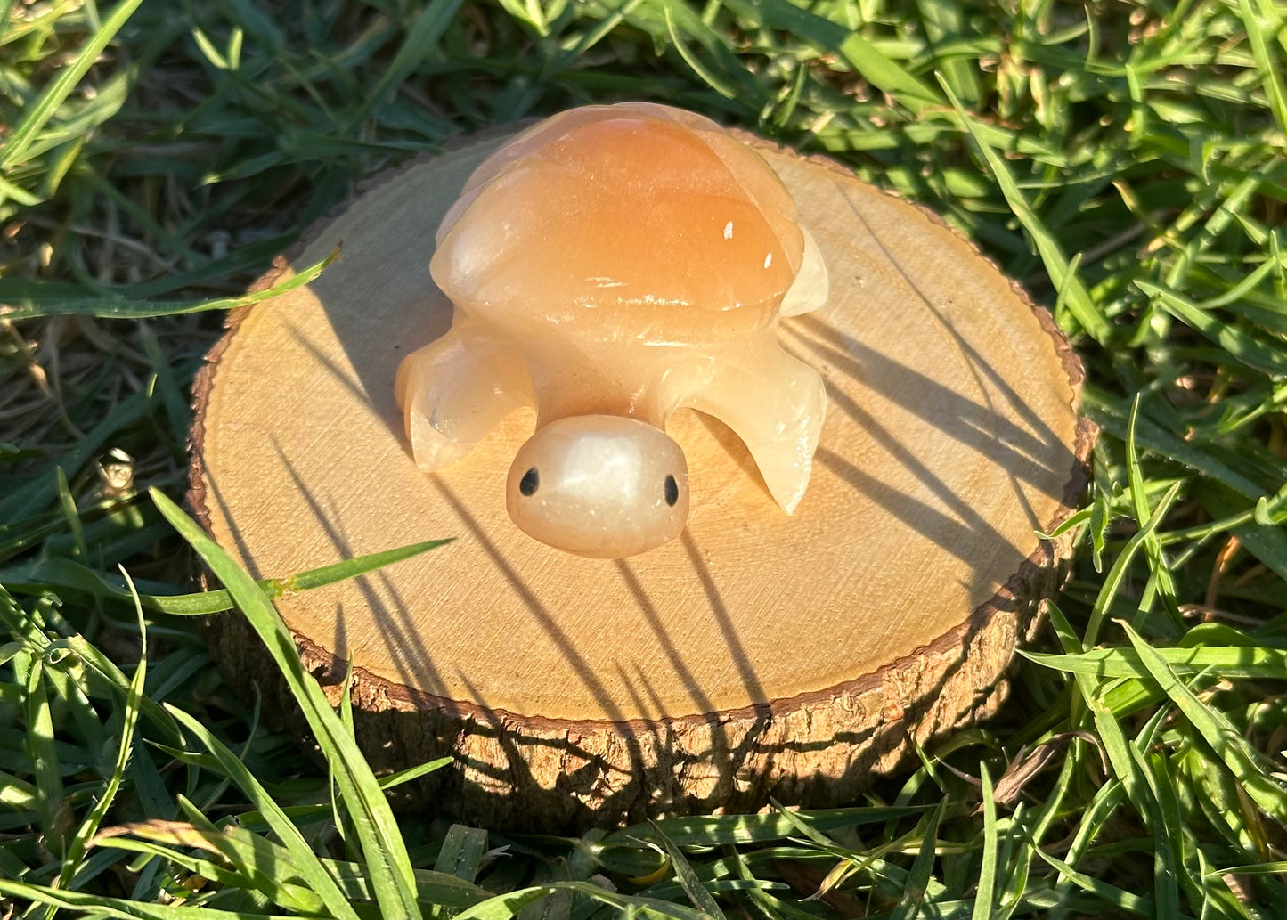 Enchanting Agate Turtles