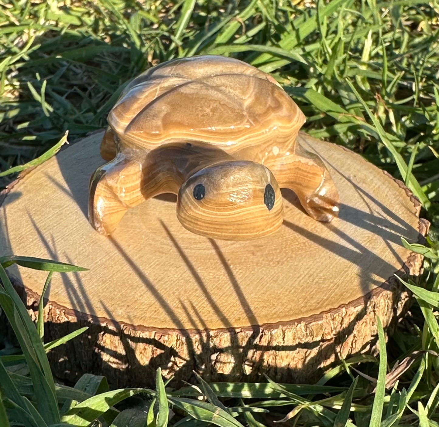 Enchanting Agate Turtles