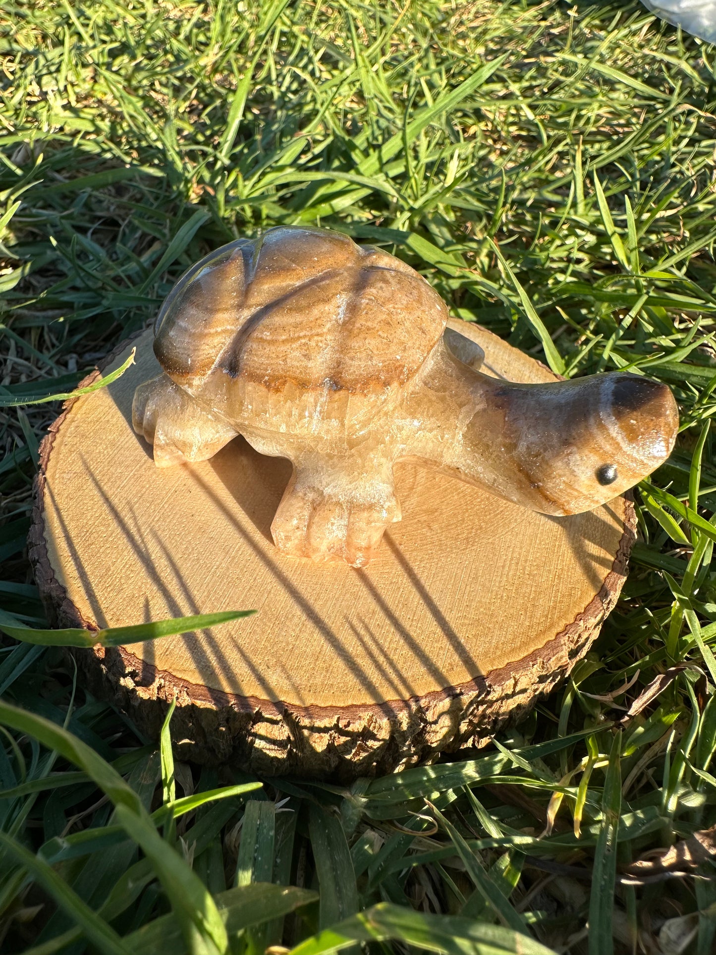 Enchanting Agate Turtles