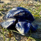 Sodalite Turtle XXL